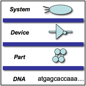 Table and diagram showing four layers: system, device, part, and DNA.