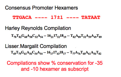 Promoter characterization table.