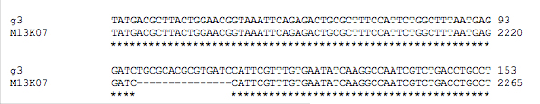 DNA sequence alignment.