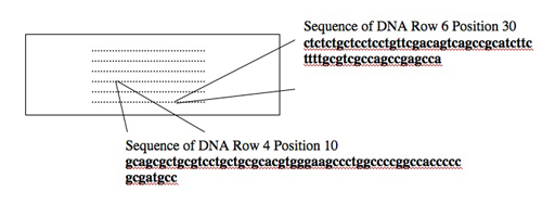 DNA microarrays.