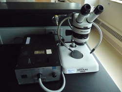 Photos of a conventional microscope and a fluorescent microscope in the lab.