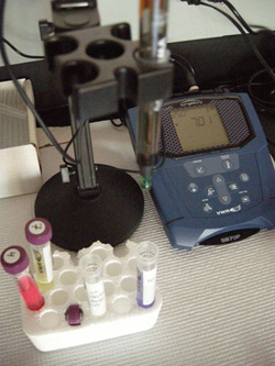 Photo of a pH meter and electrode.