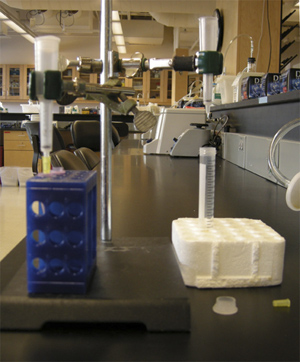 Photo of a lab bench with apparatus.