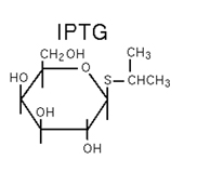 Chemical diagrams for IPTG and Lactose,