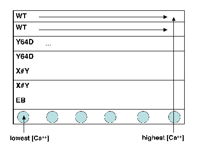 Schematic diagram of a titration sample.