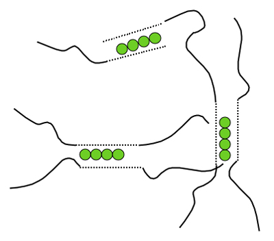 Drawing showing linear sets of 4 calcium ions flanked by G-block lines, with M-block lines extending out from the G-block.