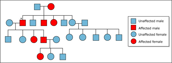 a diagram of a human pedigree chart