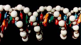 An image of a DNA model sculpture.