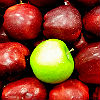 Photo of one green apple in a pile of red apples.