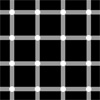 A white grid pattern on a black background, with the illusion of black dots flashing at the intersections of the white grid lines.