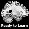 Brain image highlighting a small region of activity (parahippocampal cortex), and caption Ready to Learn.
