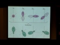 Lecture 15: Valence Bond Theory and Hybridization