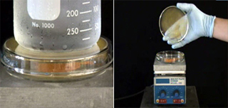 An image of a beaker, and an image of a hand holding a dish over a piece of lab equipment.