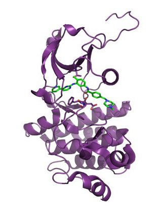 Gleevec molecule inside purple ribbons of enzyme.