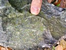 A finger pointing to a spot on a rock.
