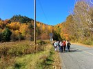 A group of people walking on the side of the road.