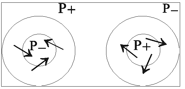 ekman schematic