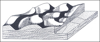 Cross stratification produced by 3-D dunes in unidirectional flows.