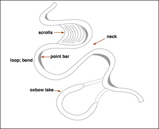 A meandering river system.