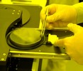 Flexible plastic circle is placed carefully onto tray.