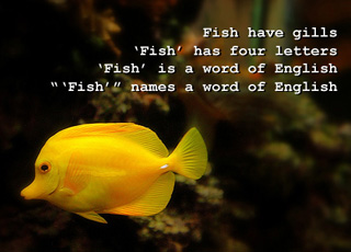 Yellow fish.