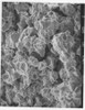 SEM image of corroded metal grains.