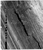 SEM image of cracks in the fractured bolt.